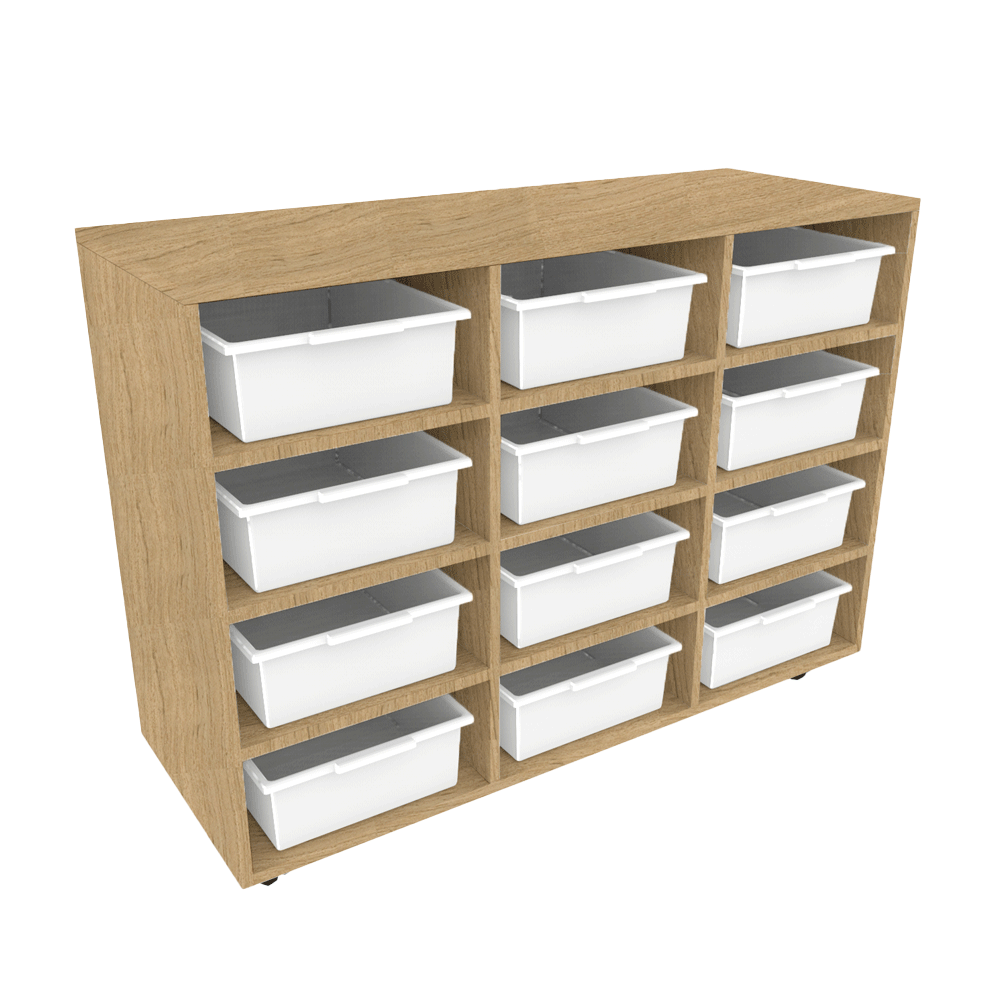 B53 - 12 Tote Storage Unit