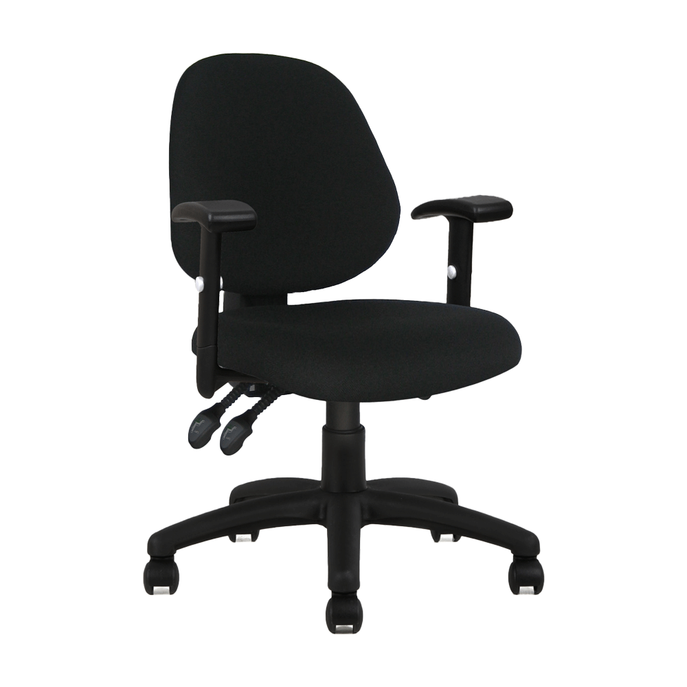 Ergos Plus Task Chair Medium Back