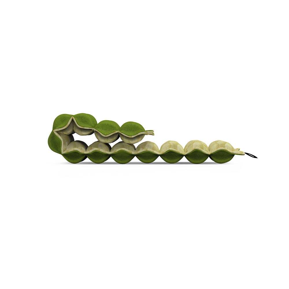 Laylow Raft Curled Green