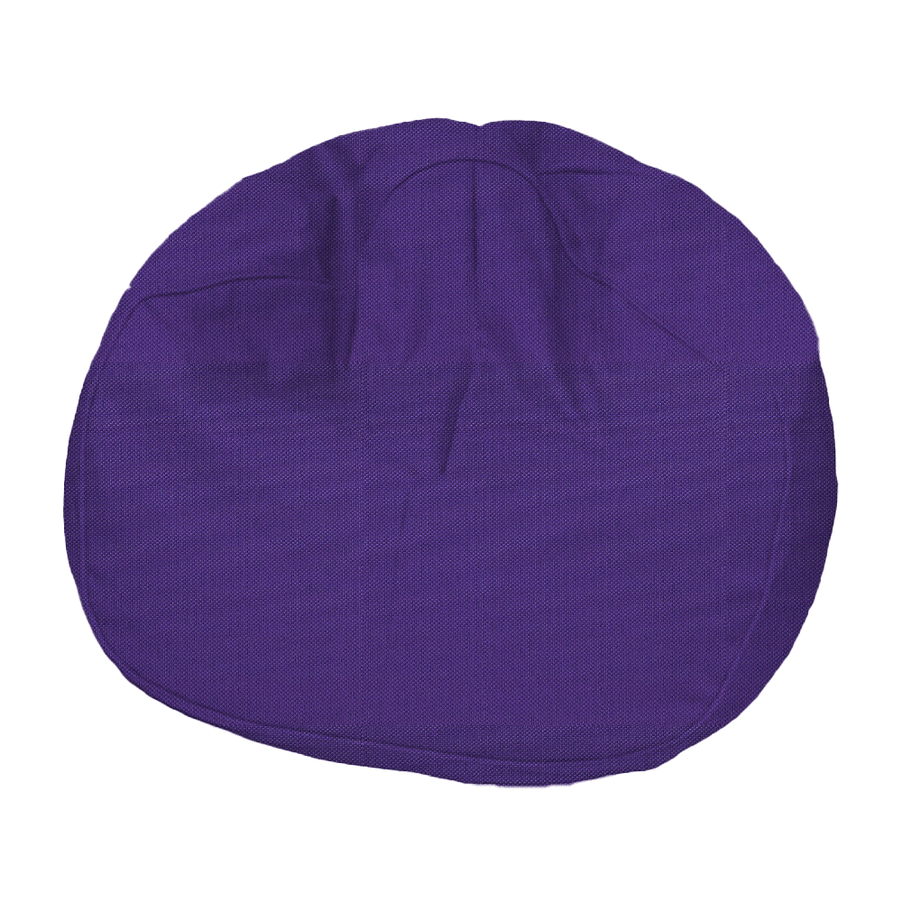 Bean Bag Purple