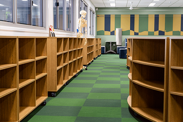 library+bookcase+storage