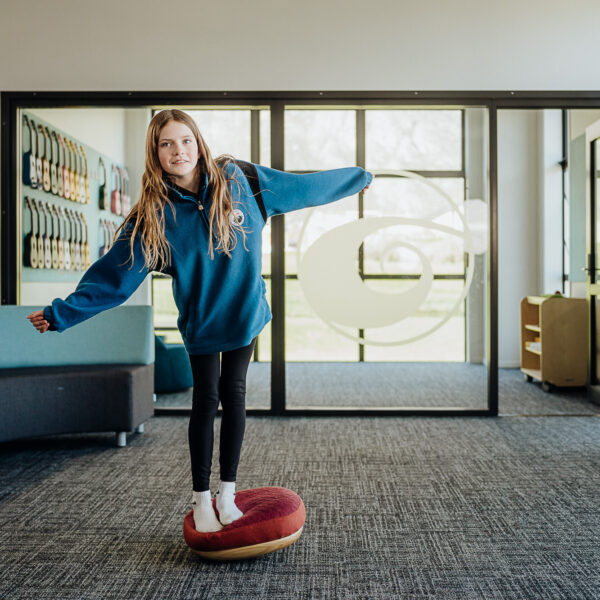 Mindfull wobble seat